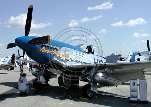 P-51 Slender, Tender & Tall