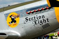 P-51 Mustang "Section Eight"