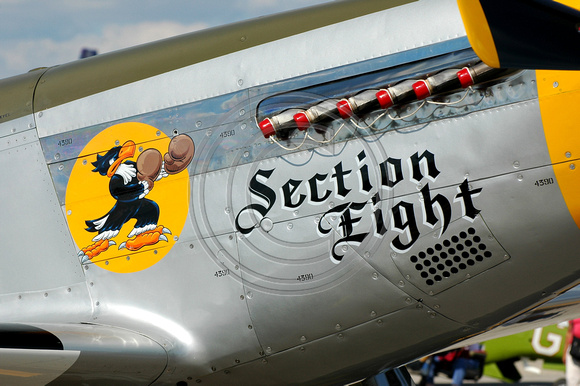 P-51 Mustang "Section Eight"