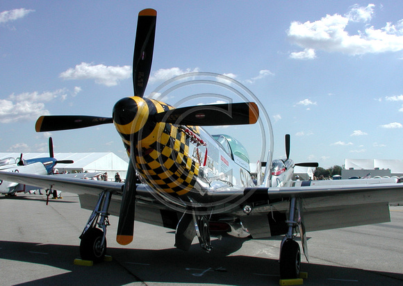 P-51 Little Witch