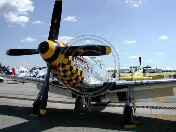 P-51 Double Trouble Two